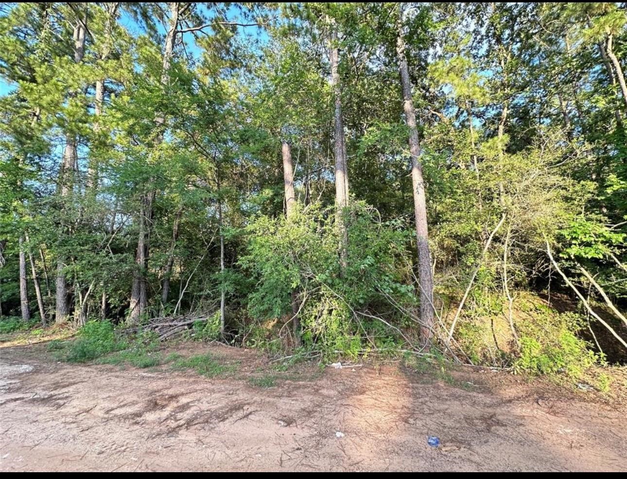 13 Scarlet Oak Dr Property Photo 2