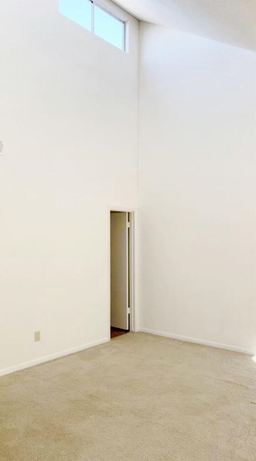 11203 Shannon Hills Drive Property Photo 6