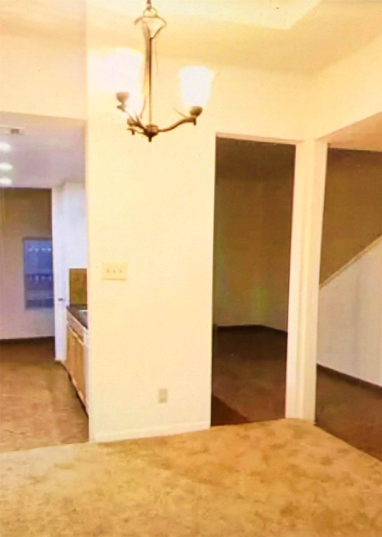 11203 Shannon Hills Drive Property Photo 8
