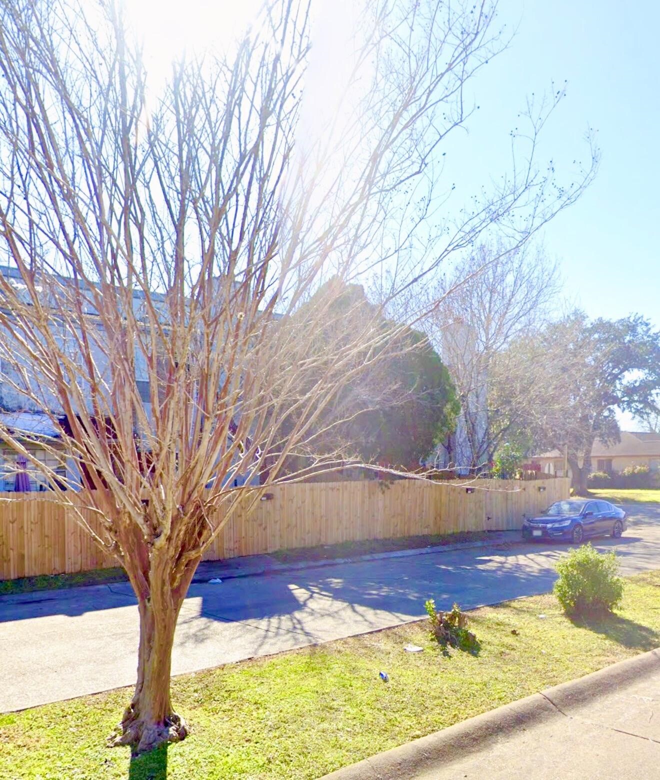 11203 Shannon Hills Drive Property Photo 11