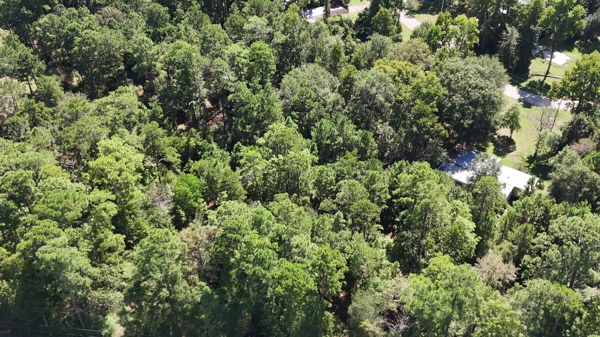 Lot 226 N Canyon Drive Property Photo 10