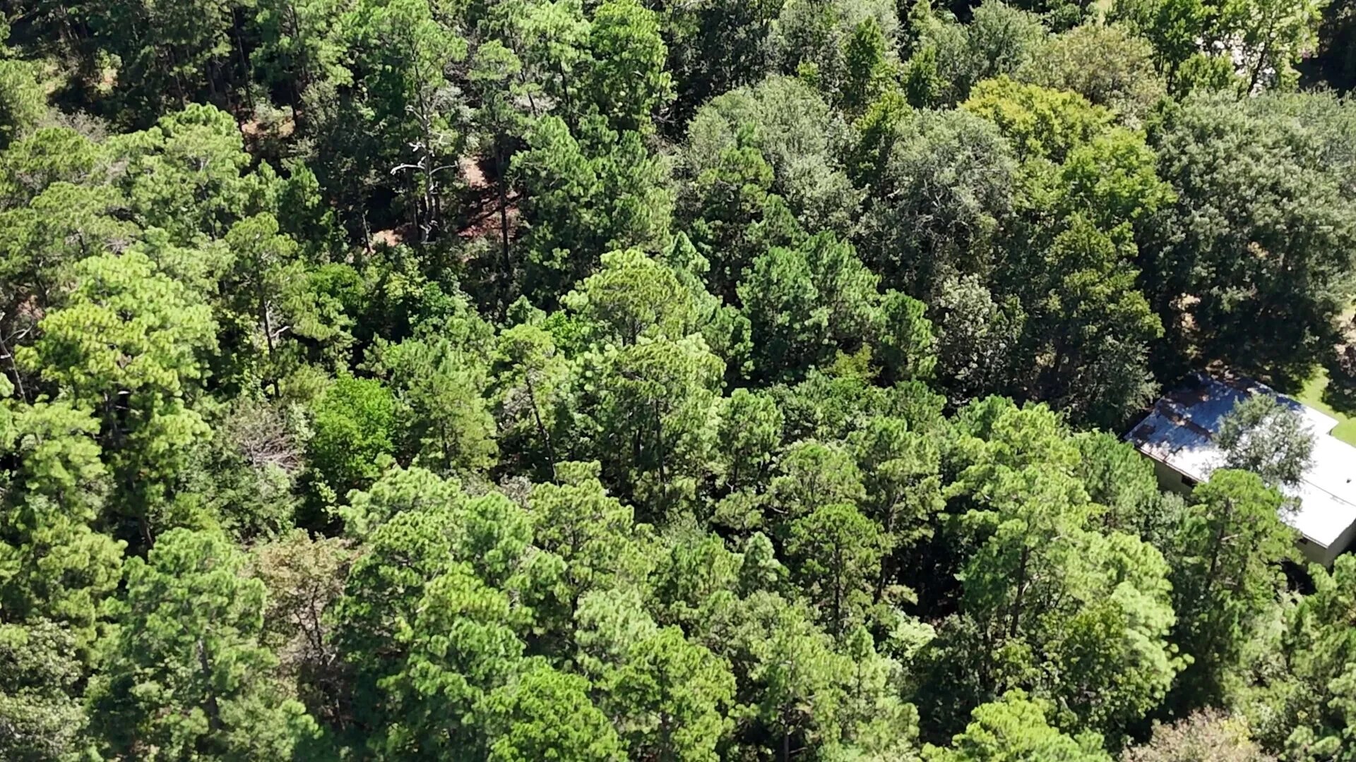 Lot 226 N Canyon Drive Property Photo 11