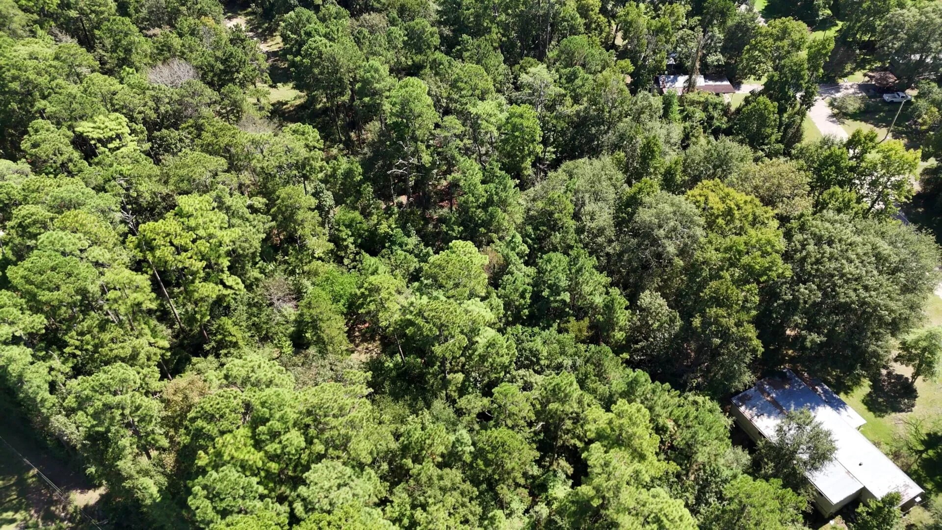 Lot 226 N Canyon Drive Property Photo 27