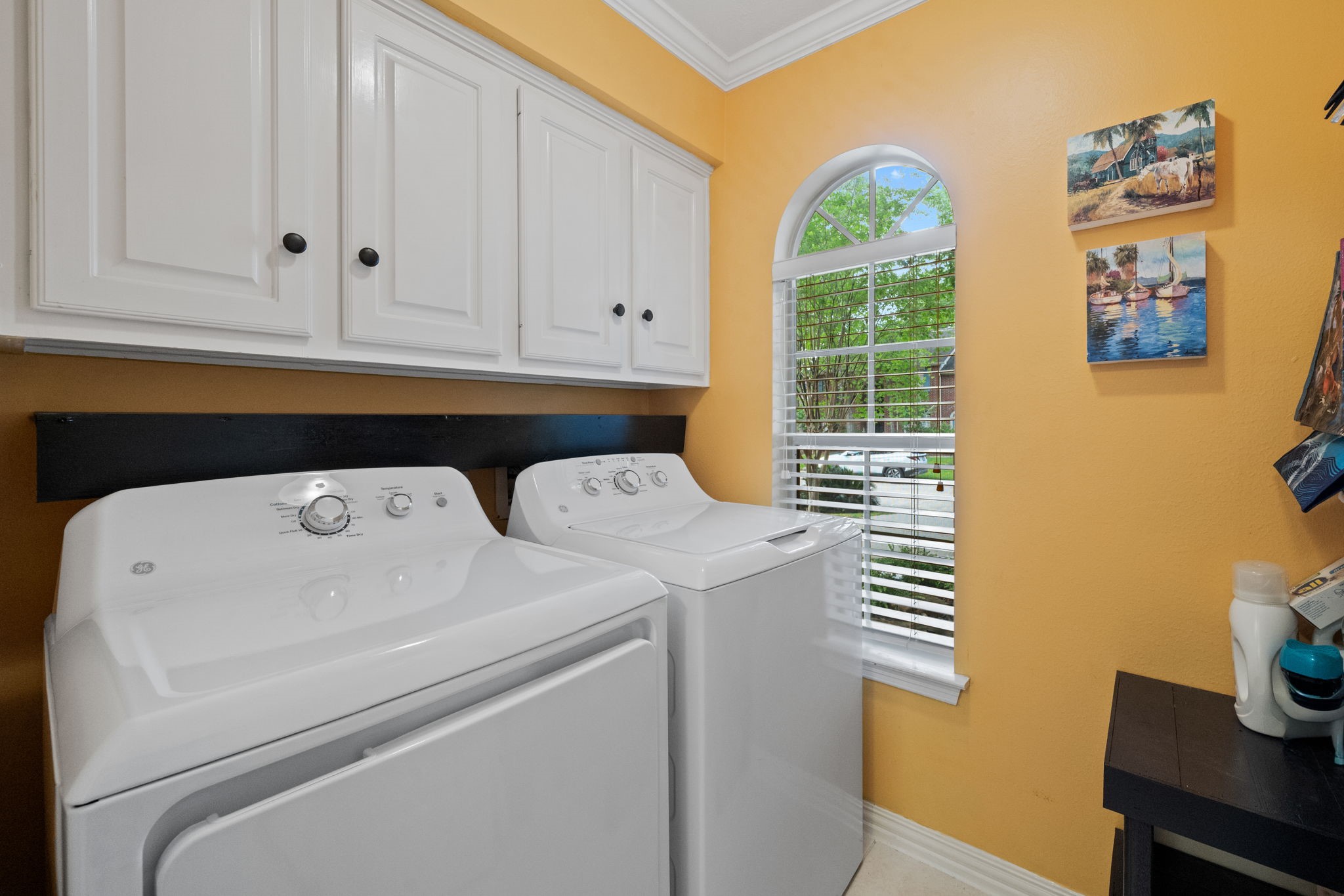 3003 Apple Forest Court Property Photo 21