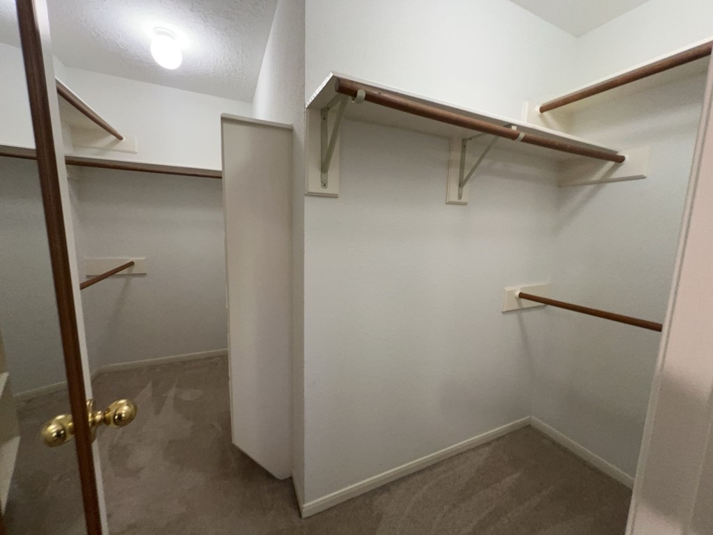 2136 Gemini Street Property Photo 6