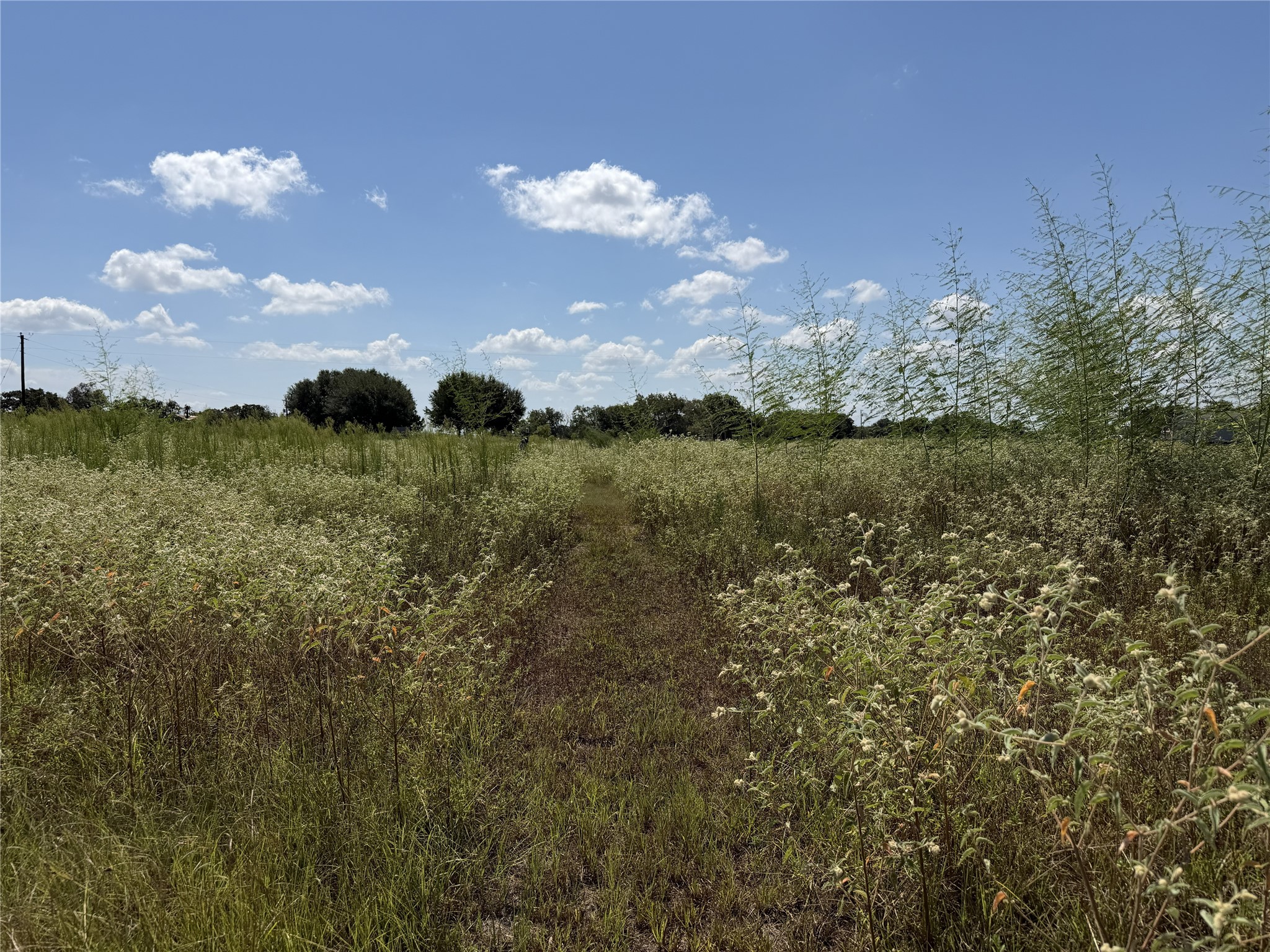 3655 County Road 430 Property Photo 20