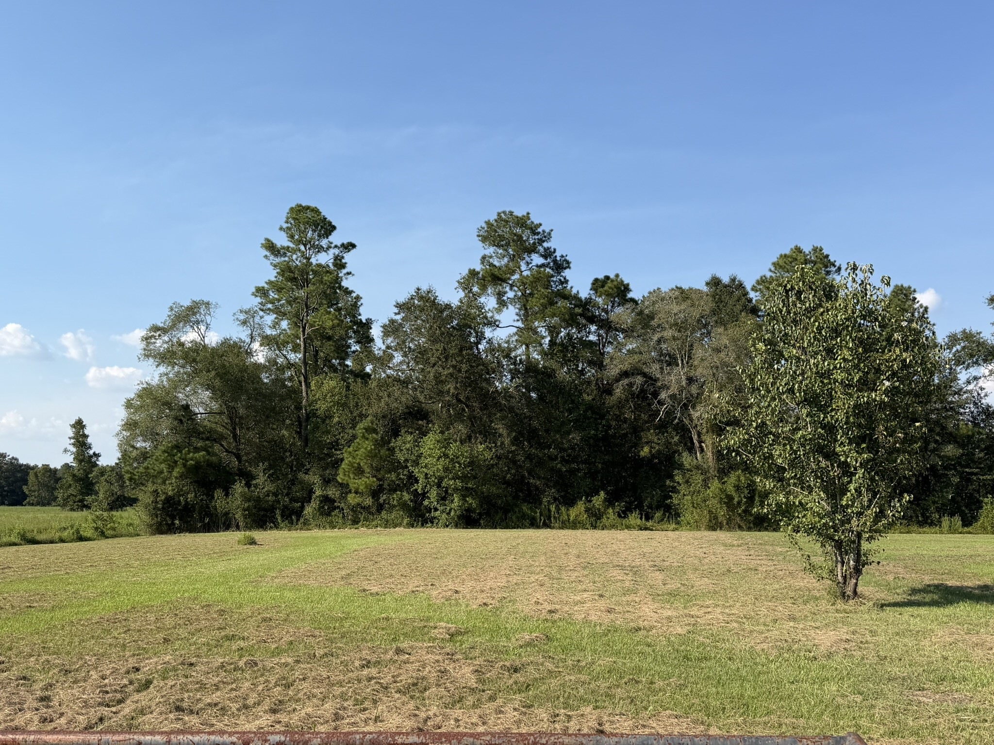 5477 Dunromin Road Property Photo 14