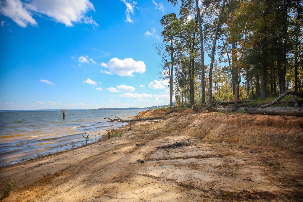 182 Bailey Jones Property Photo 3