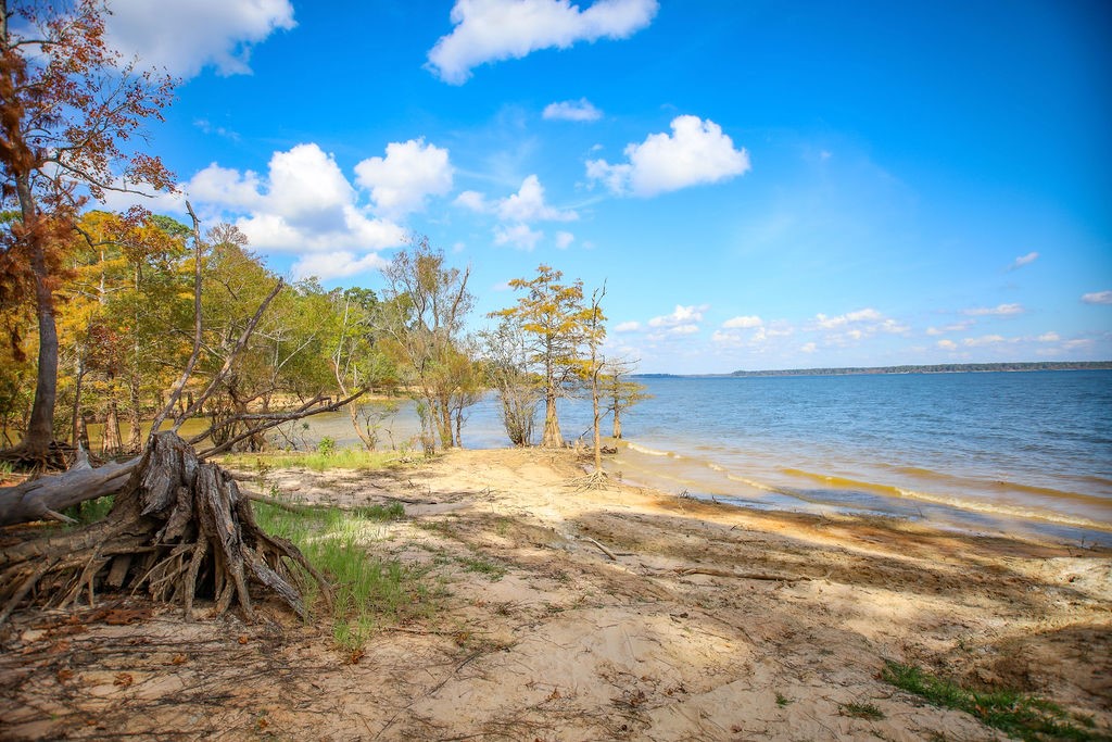 182 Bailey Jones Property Photo 4