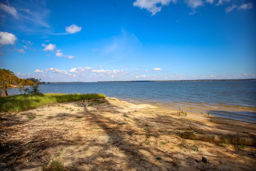 182 Bailey Jones Property Photo 8