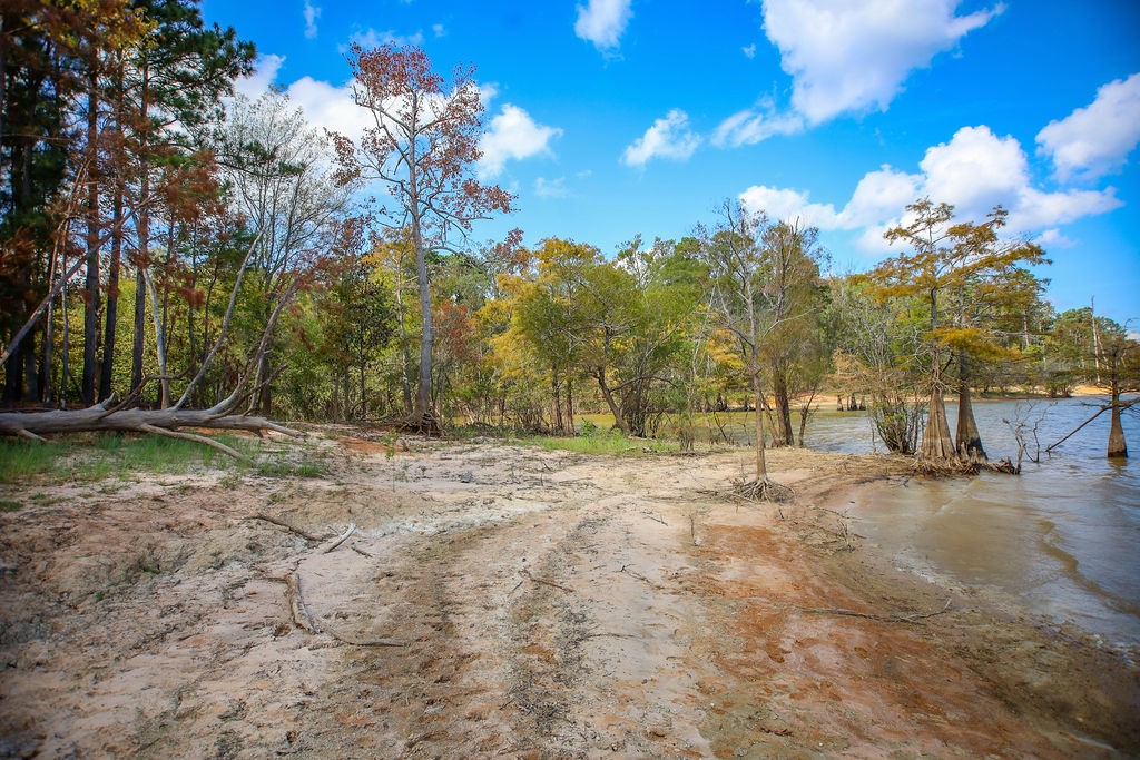 182 Bailey Jones Property Photo 9