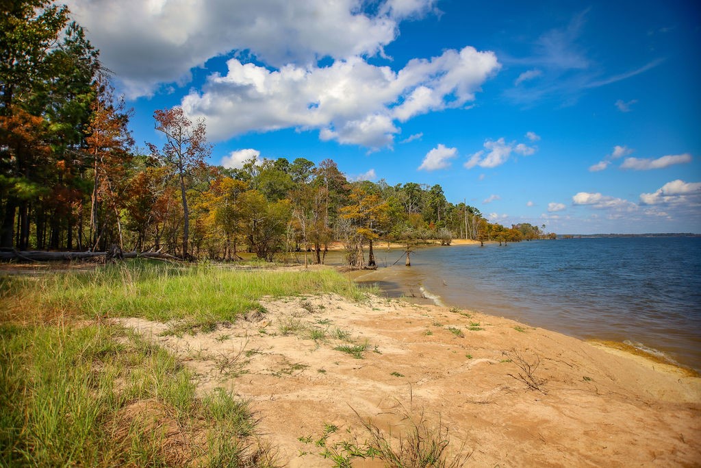 182 Bailey Jones Property Photo 11