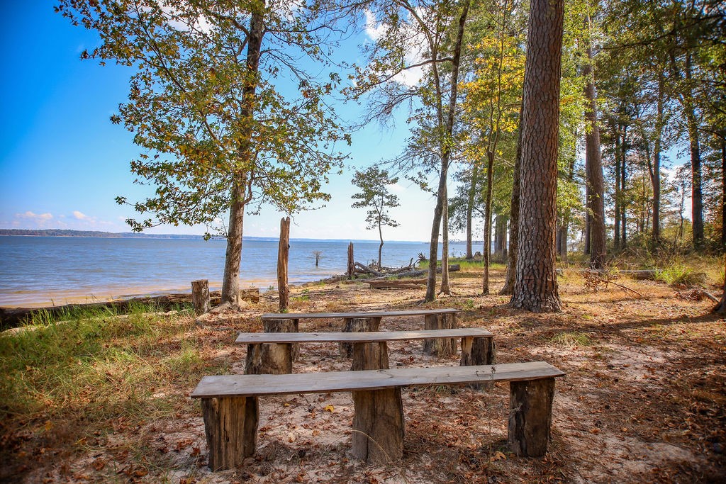 182 Bailey Jones Property Photo 13