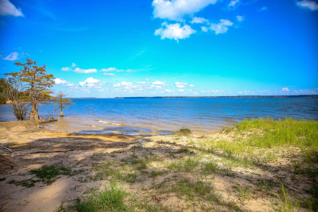 182 Bailey Jones Property Photo 14