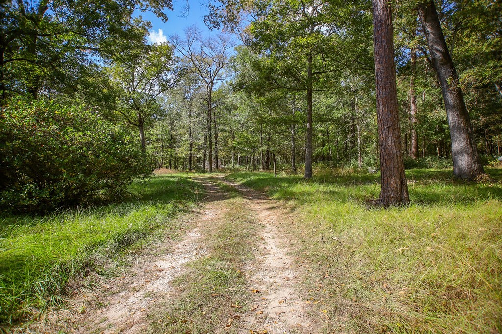 182 Bailey Jones Property Photo 17