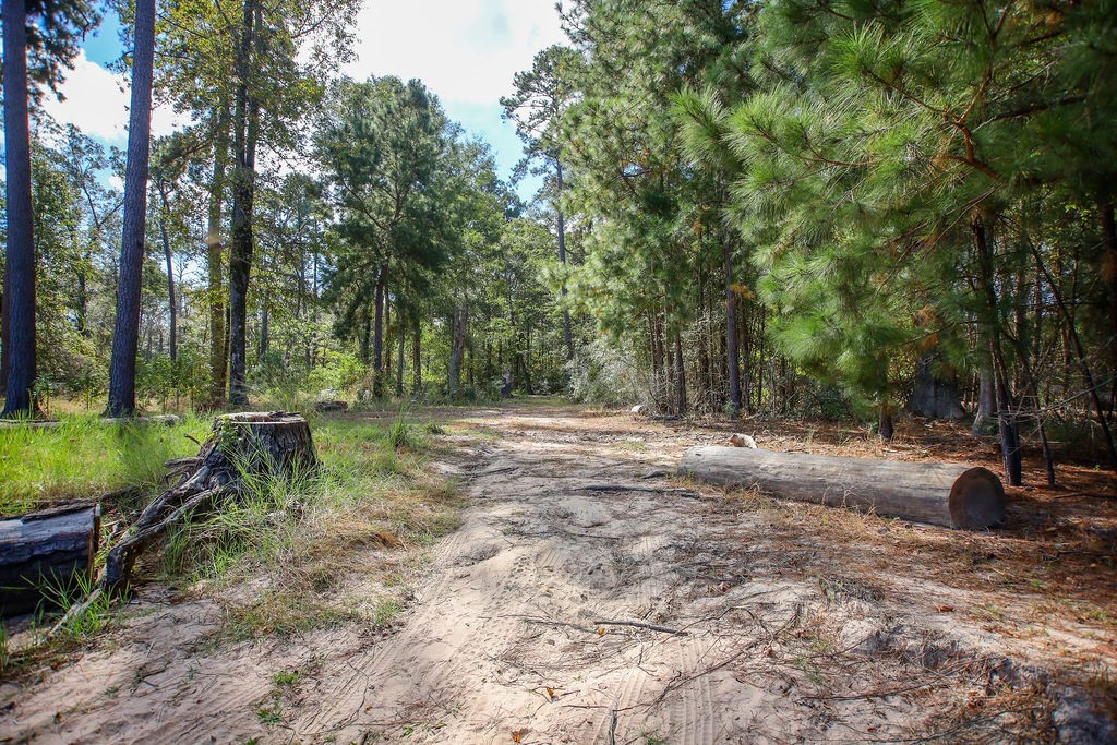 182 Bailey Jones Property Photo 18