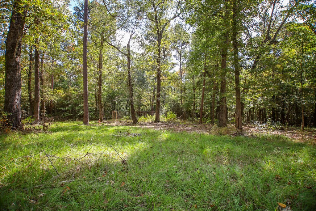 182 Bailey Jones Property Photo 19