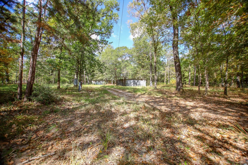 182 Bailey Jones Property Photo 21
