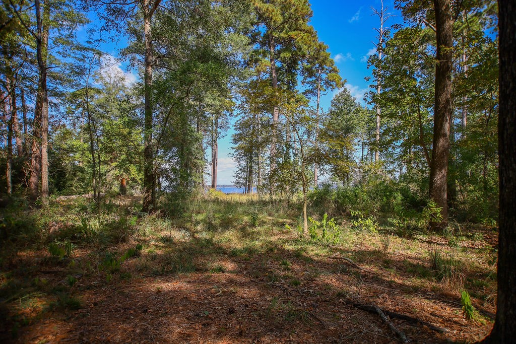 182 Bailey Jones Property Photo 25