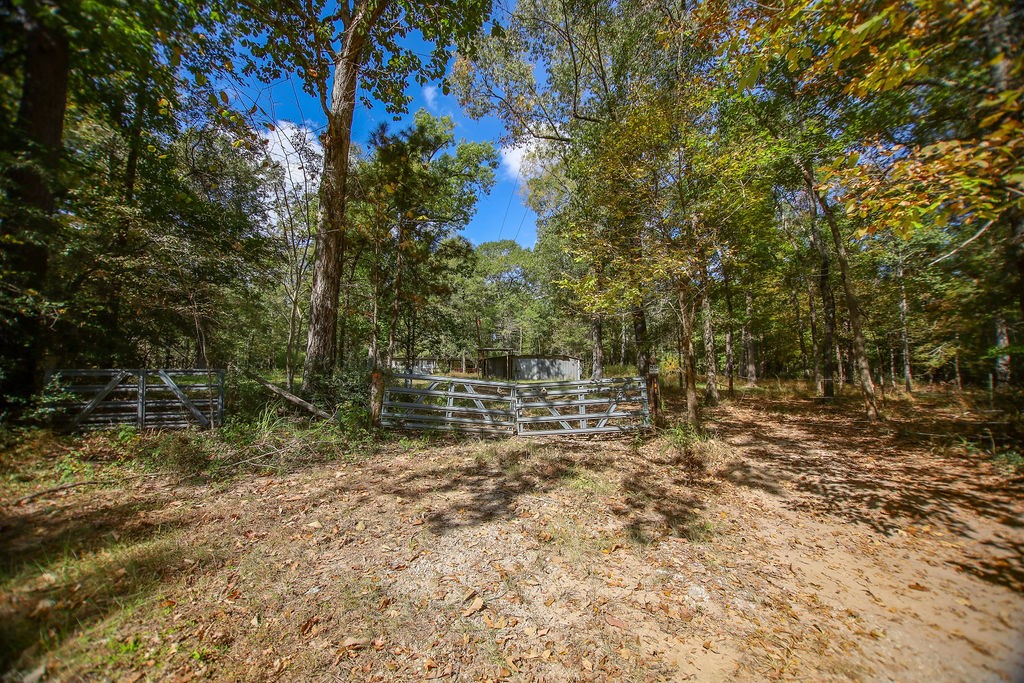 182 Bailey Jones Property Photo 26