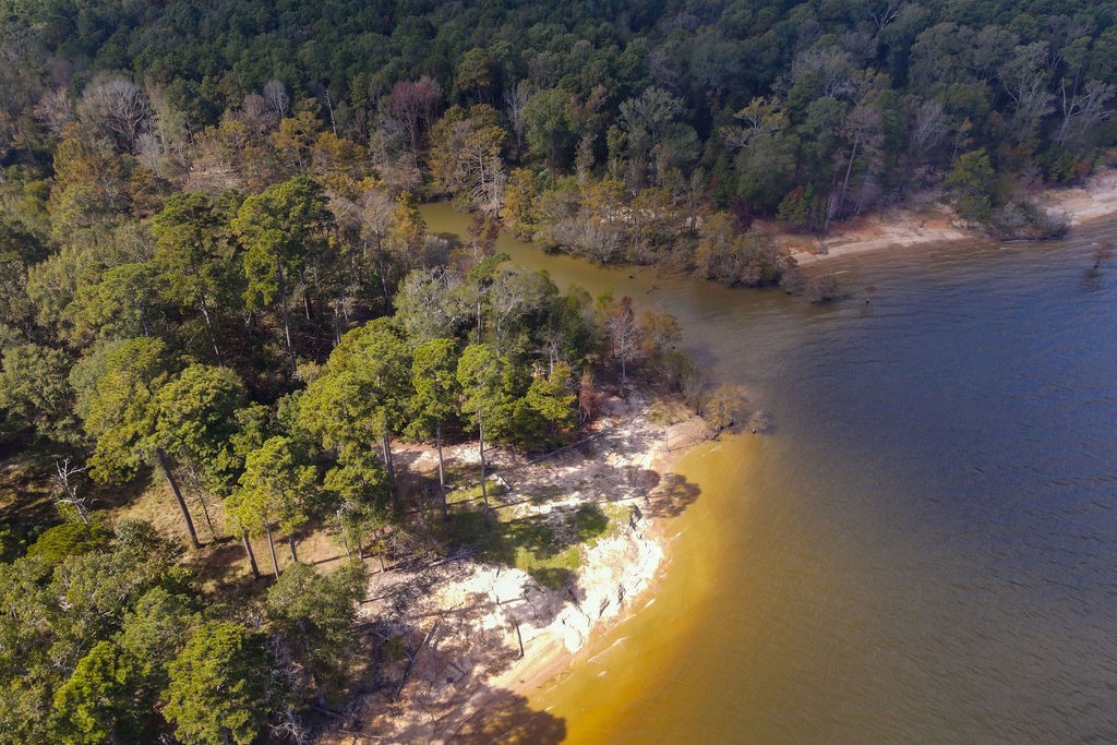 182 Bailey Jones Property Photo 28