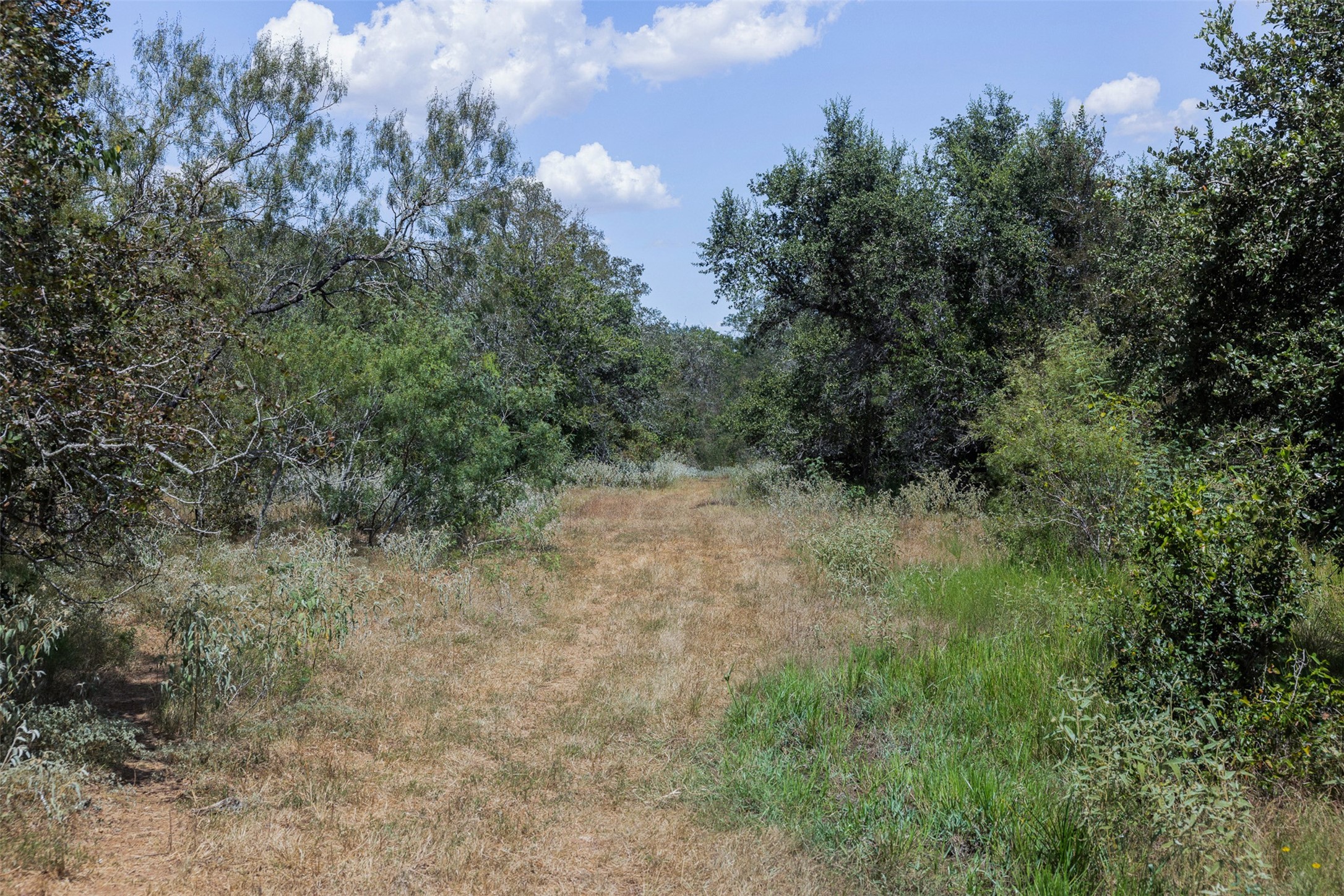 4242 Fm 1680 Property Photo 14