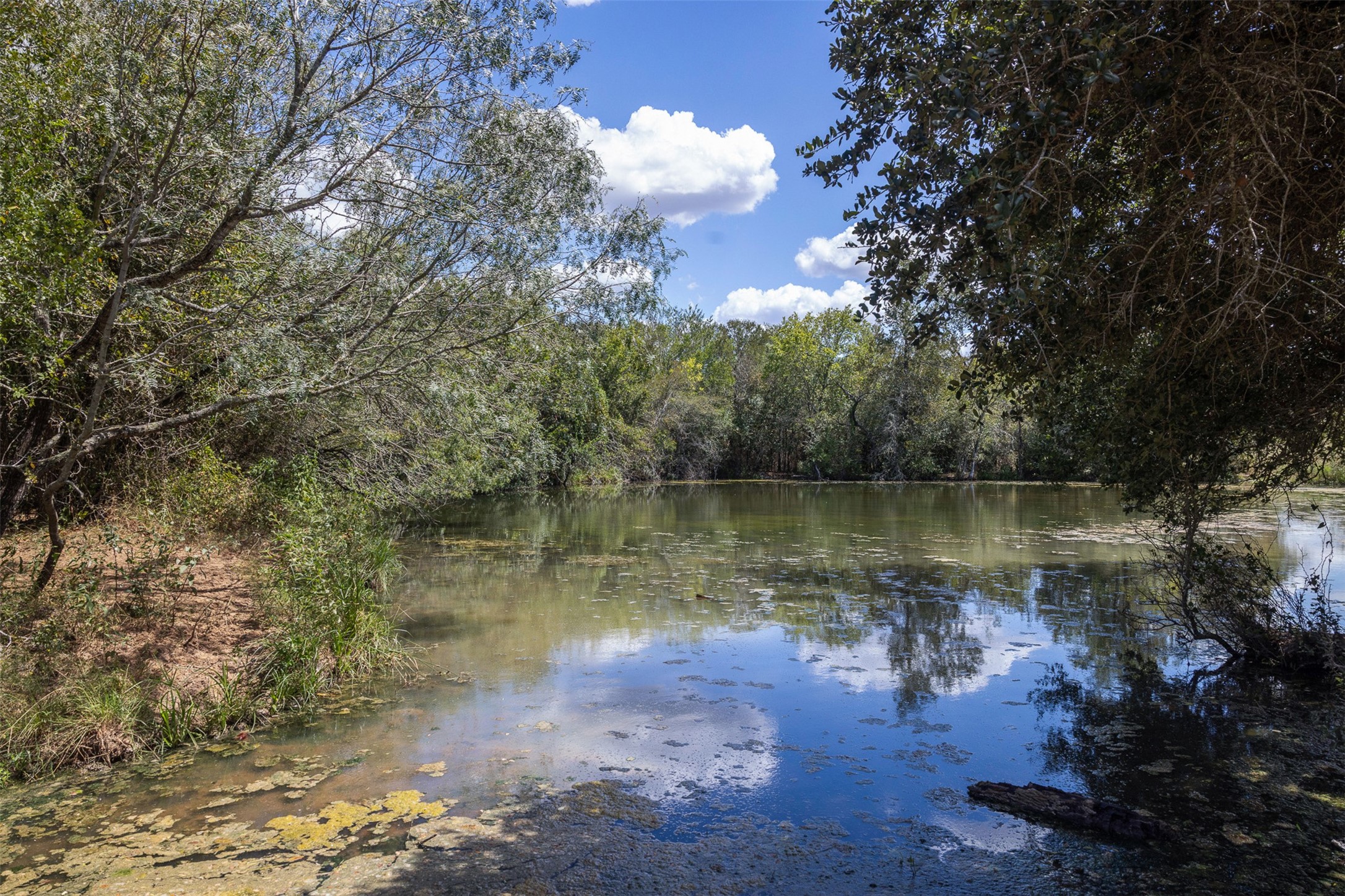 4242 Fm 1680 Property Photo 15