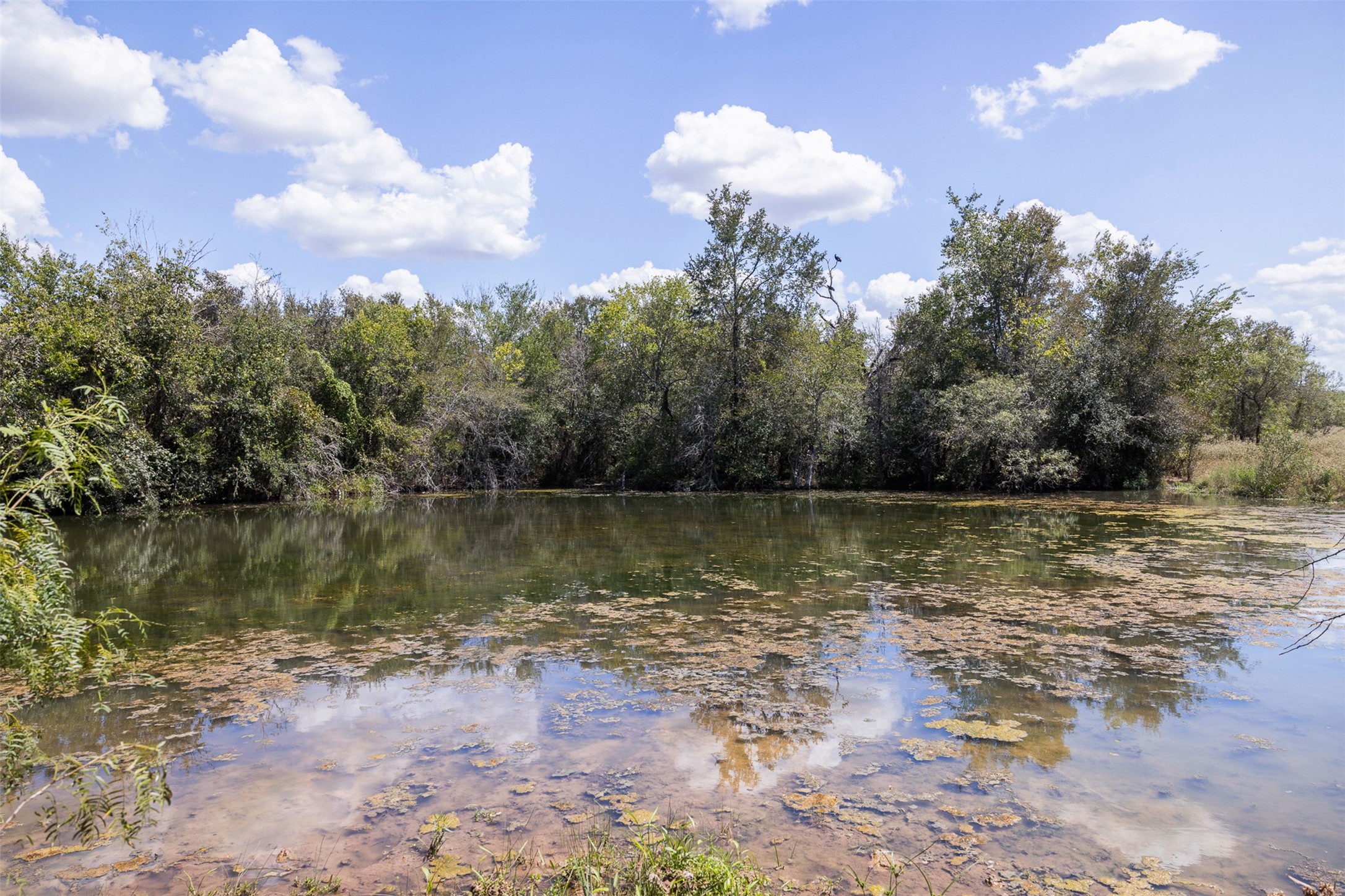 4242 Fm 1680 Property Photo 16