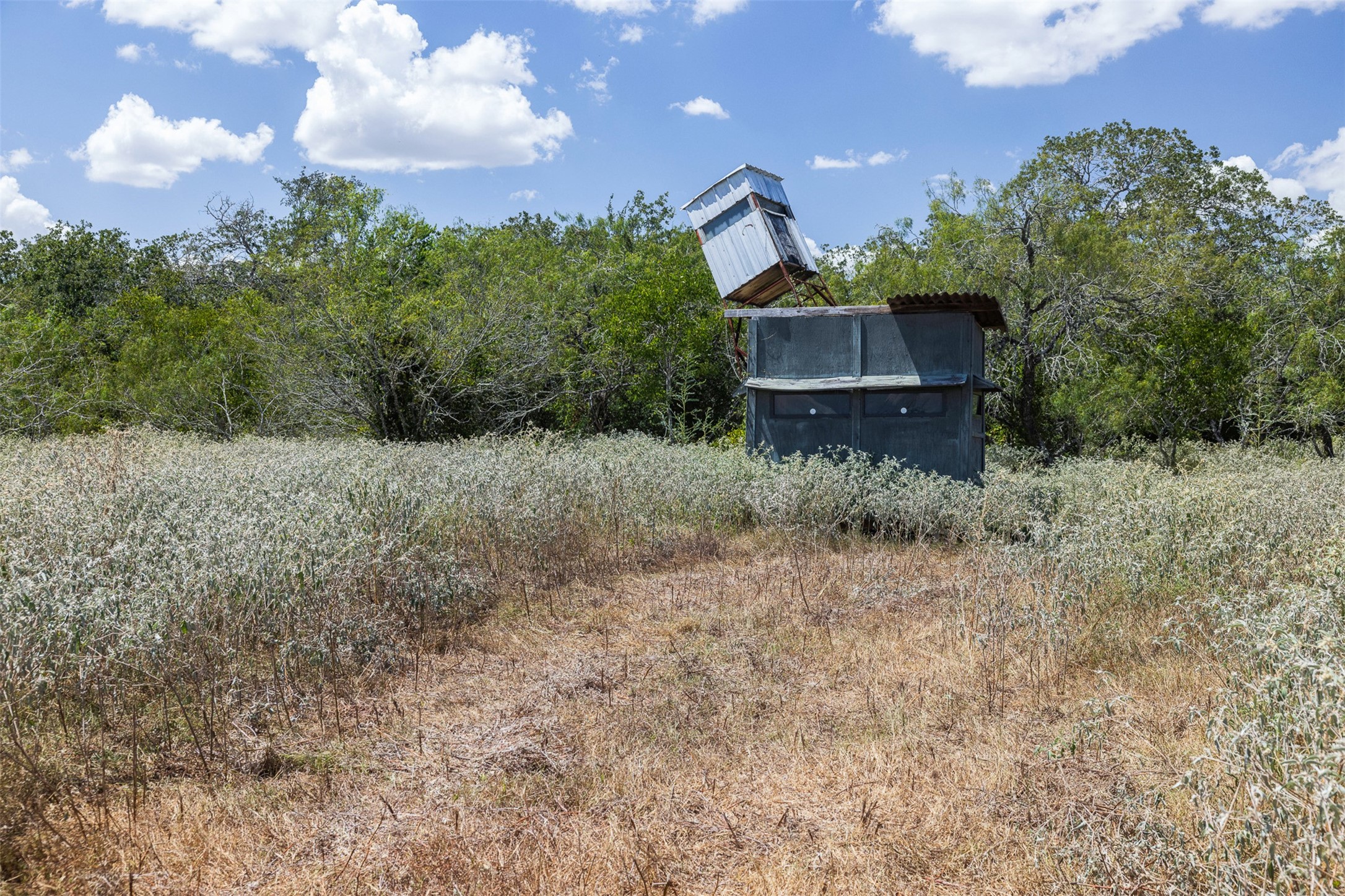 4242 Fm 1680 Property Photo 19