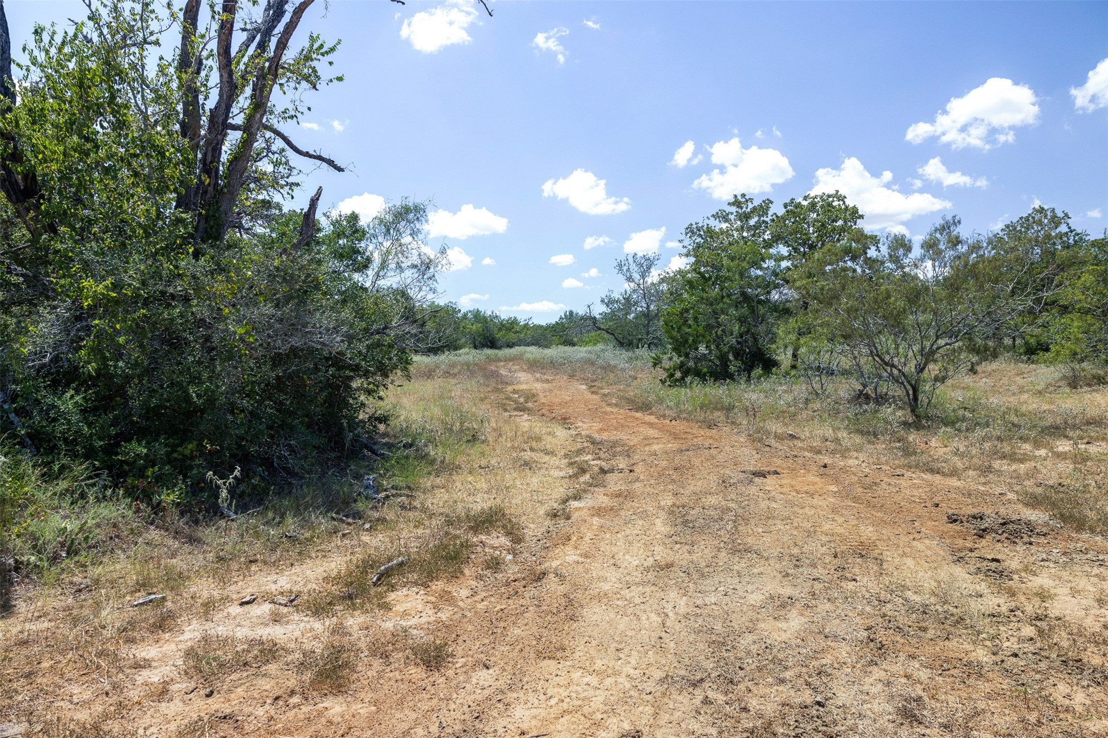 4242 Fm 1680 Property Photo 20