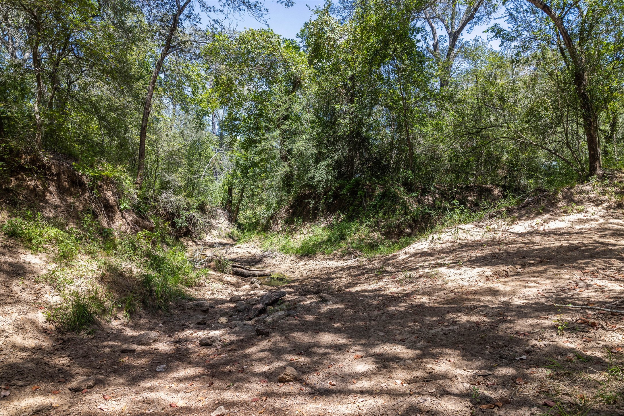 4242 Fm 1680 Property Photo 23
