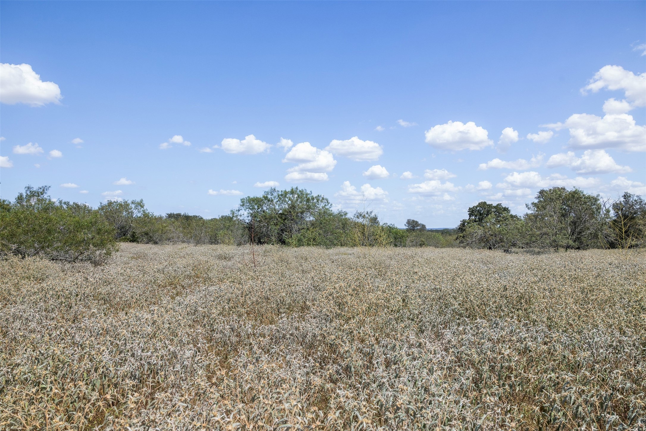 4242 Fm 1680 Property Photo 27