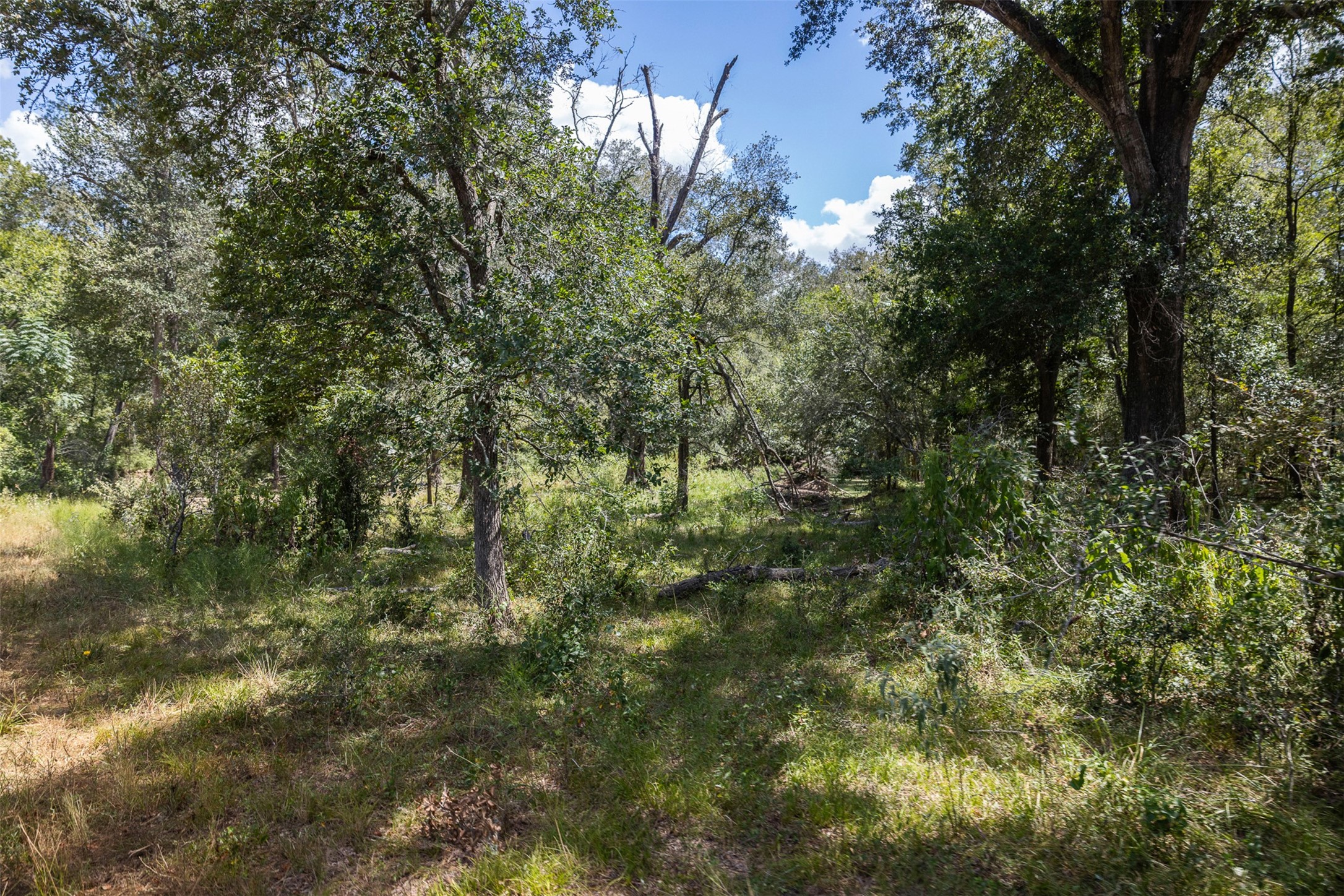 4242 Fm 1680 Property Photo 29