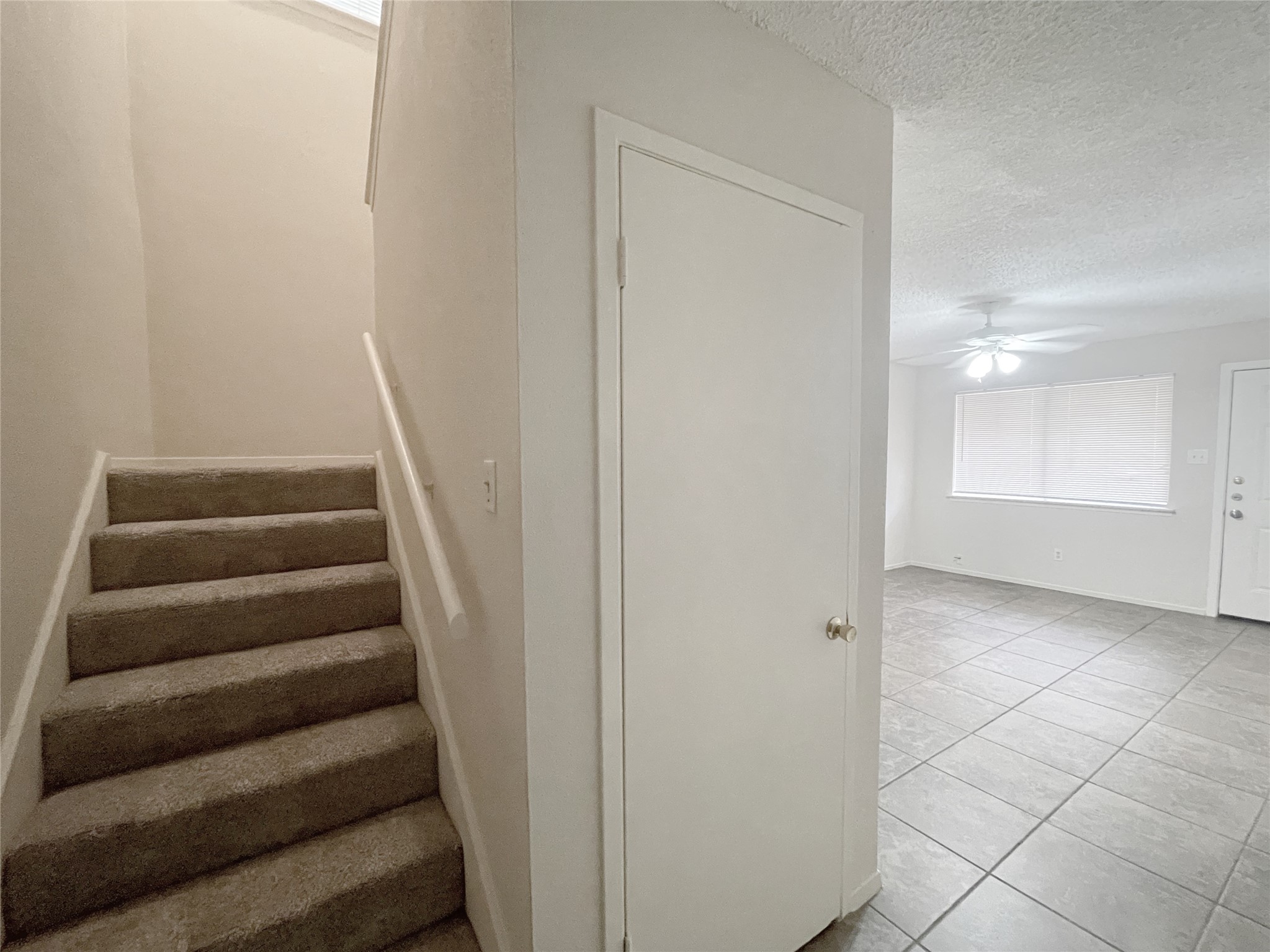 12023 Greenwood Forest Drive B Property Photo 11
