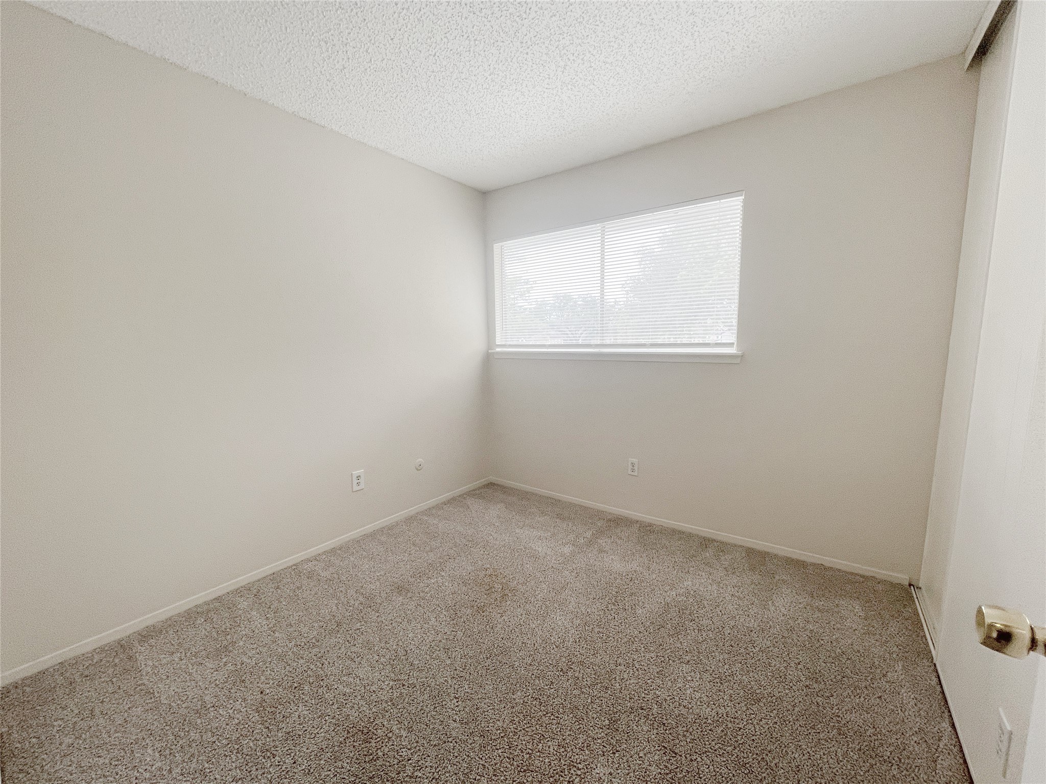 12023 Greenwood Forest Drive B Property Photo 14