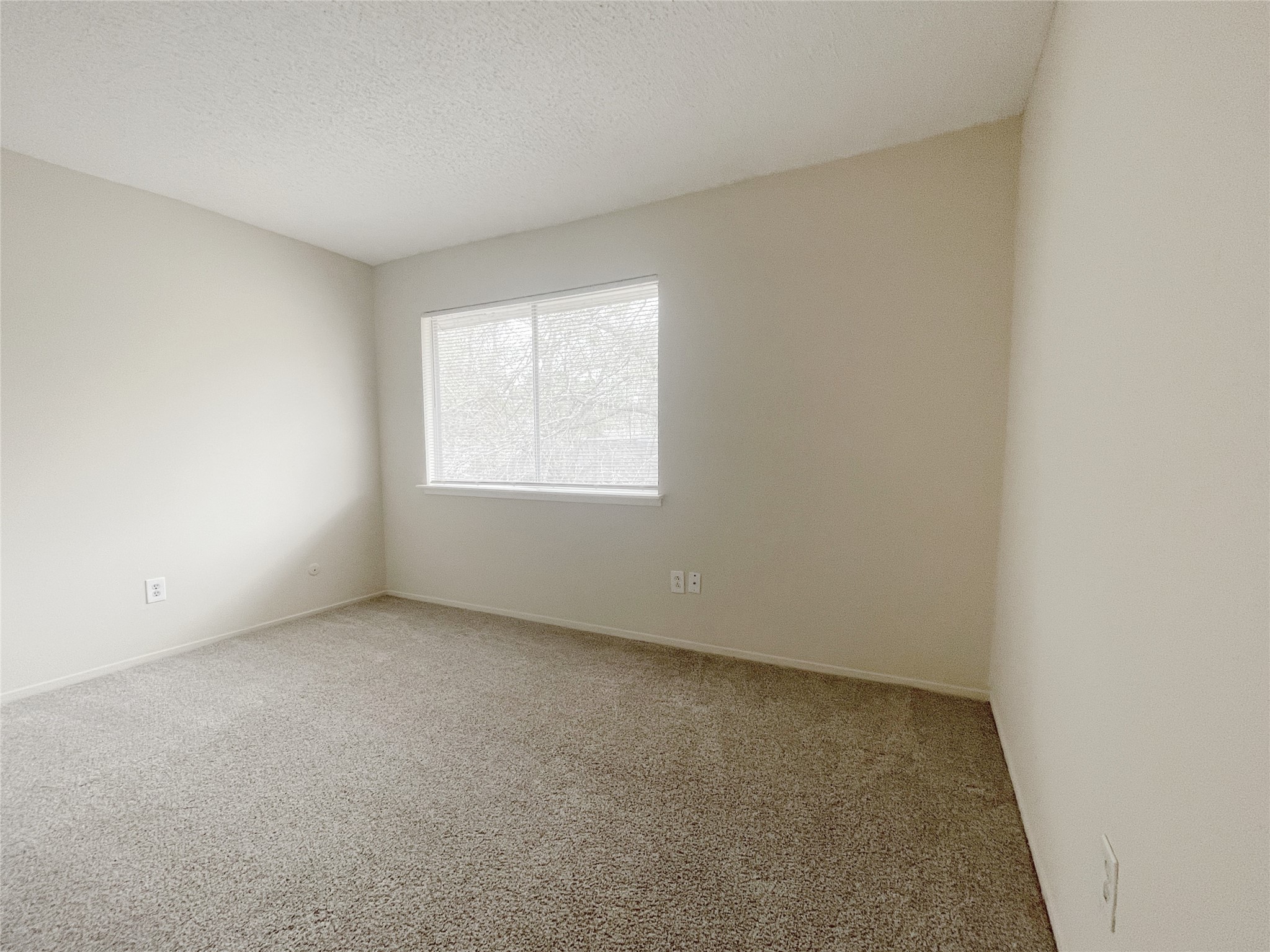 12023 Greenwood Forest Drive B Property Photo 16