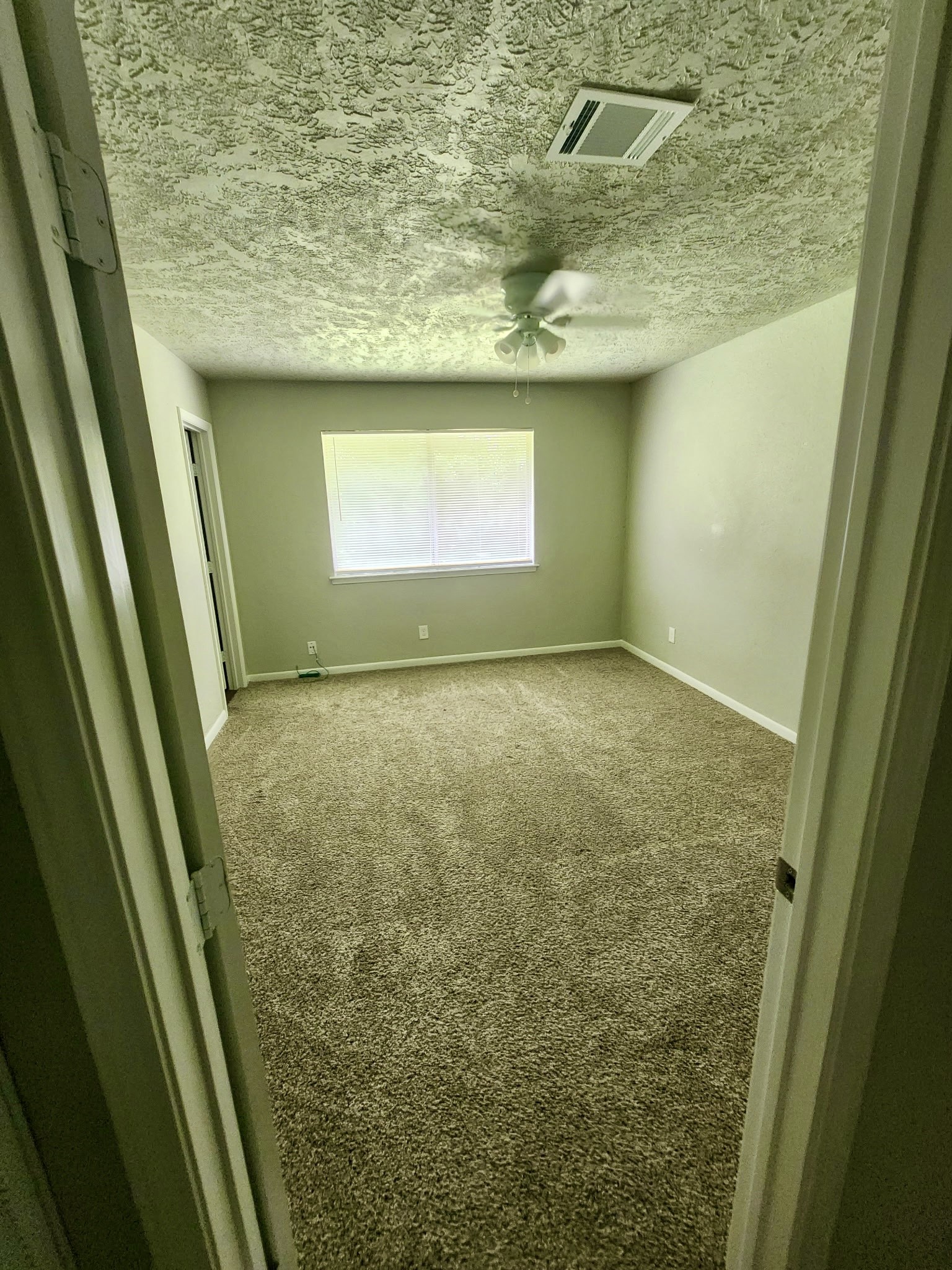 3860 Jasmine Drive Property Photo 4