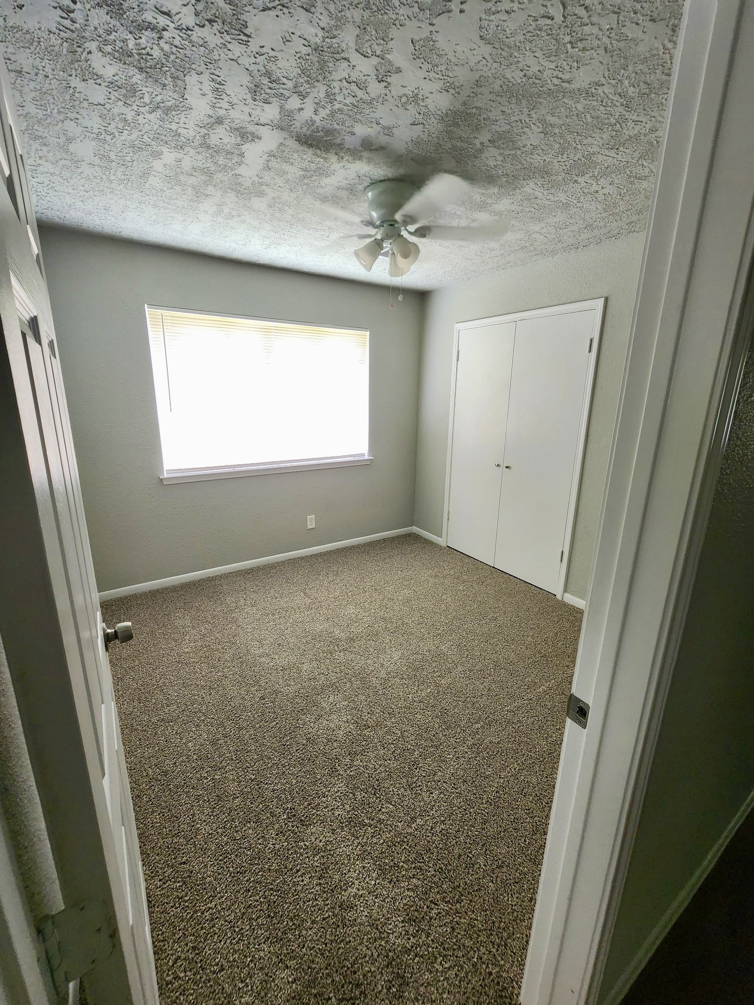 3860 Jasmine Drive Property Photo 6
