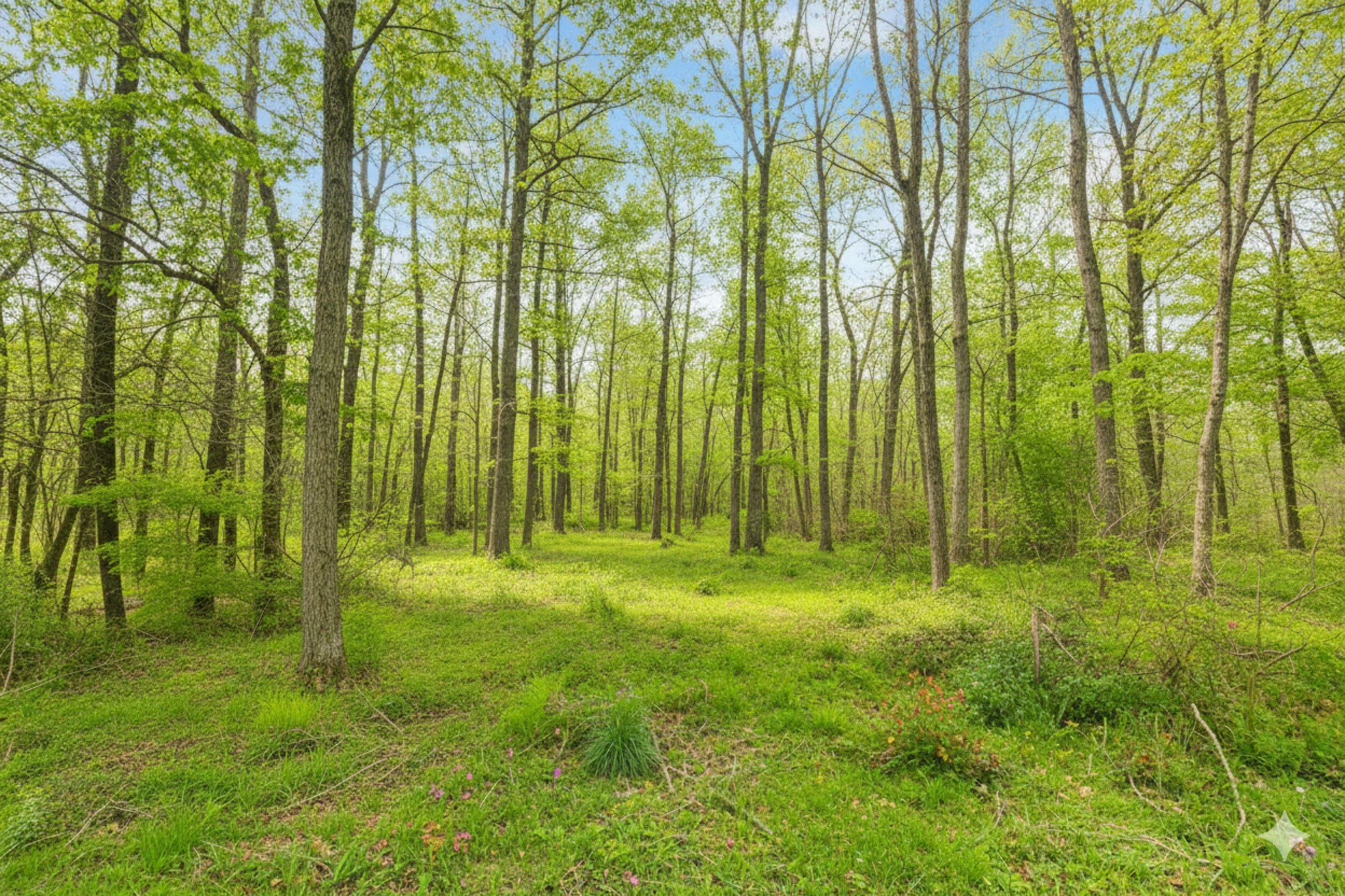 Lot 160 Jaycrest Property Photo 4
