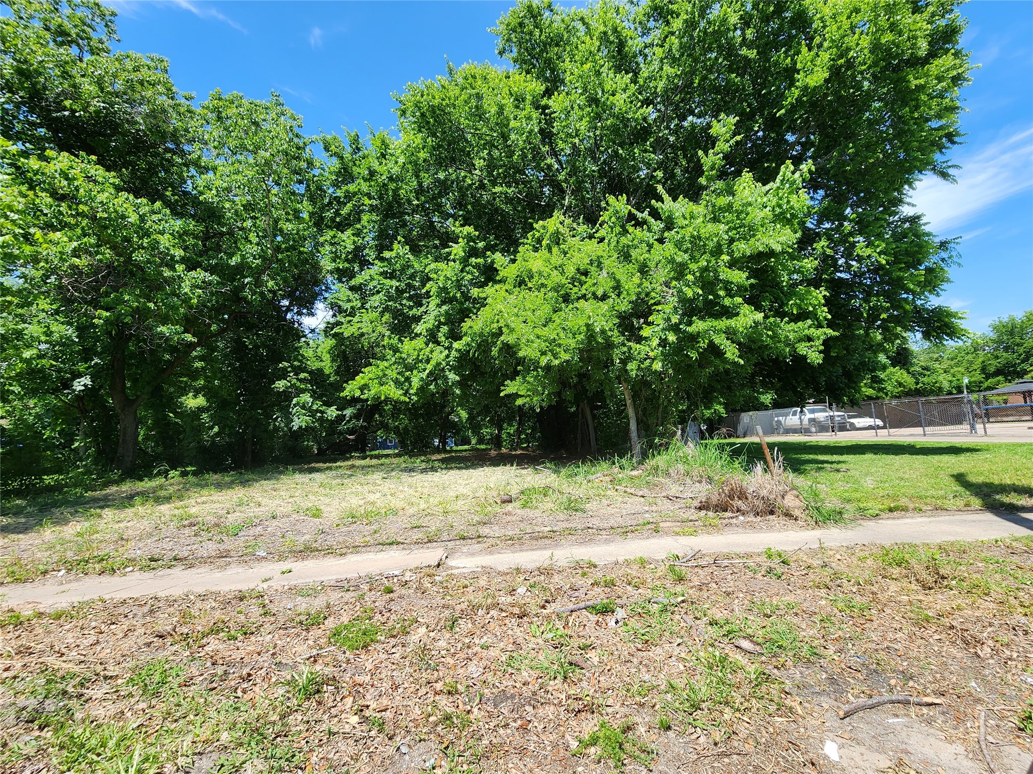 3229 Elgin Street Property Photo 2