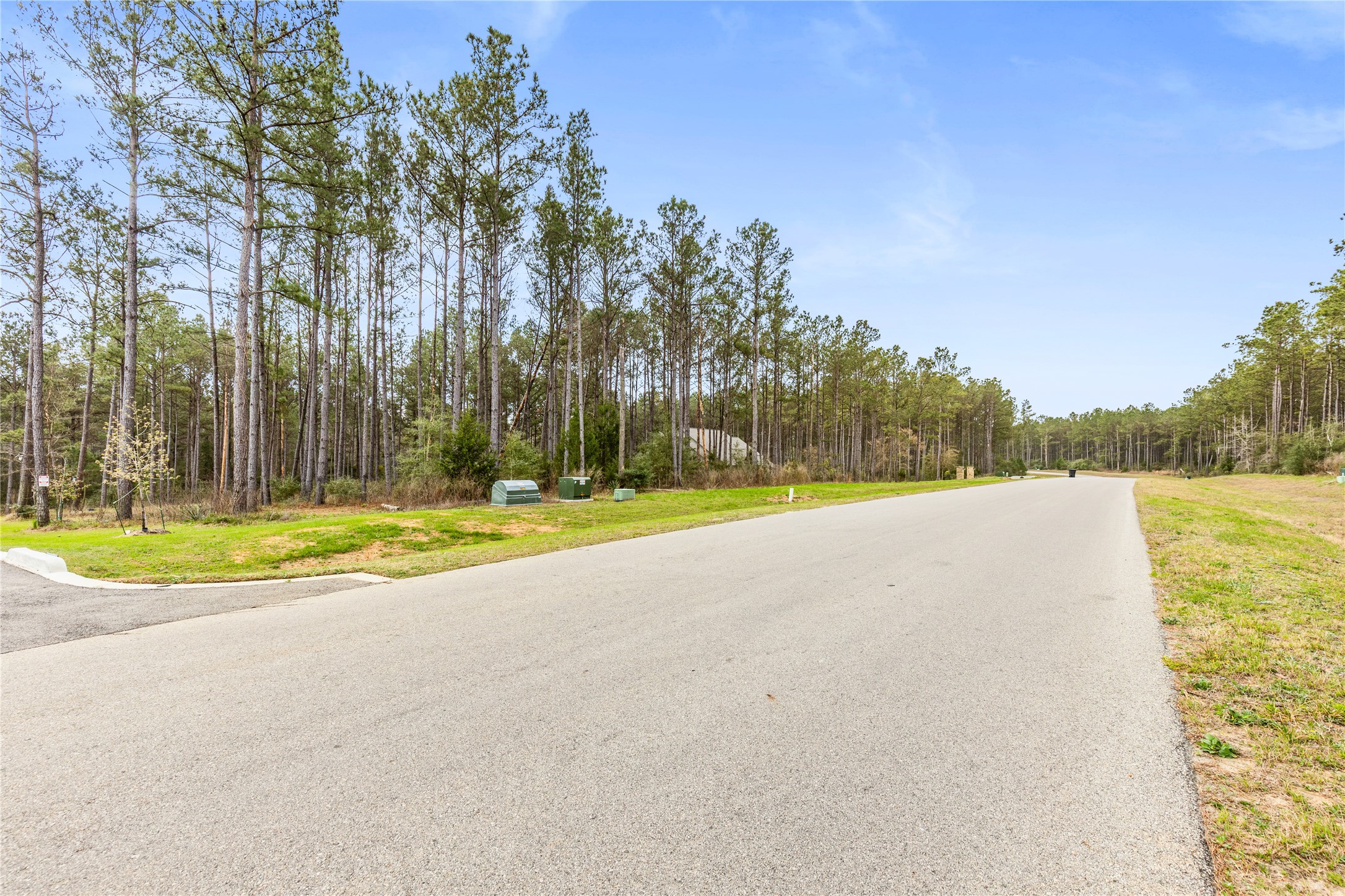 10883 Ruger Road Property Photo 6