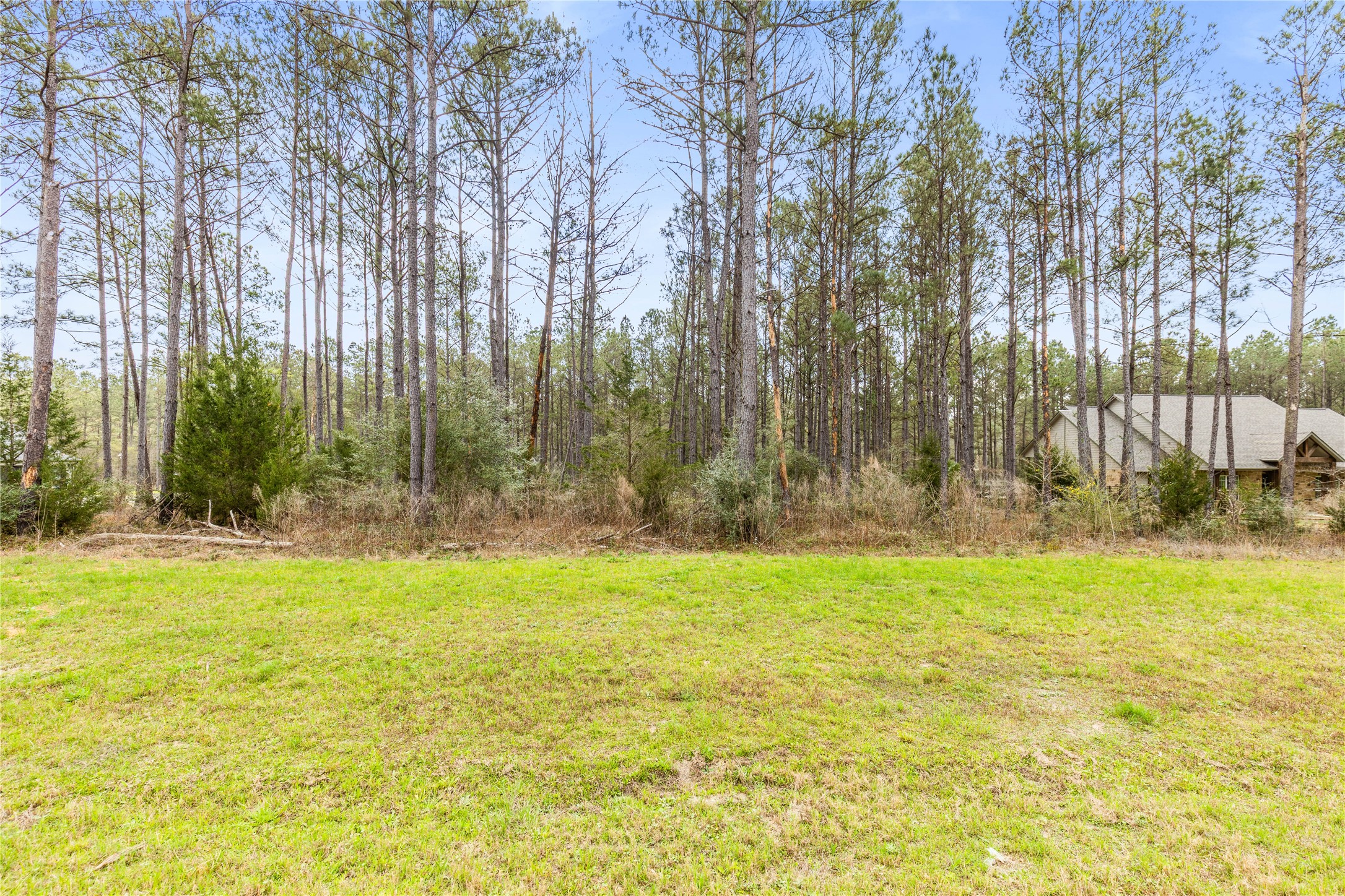 10883 Ruger Road Property Photo 8