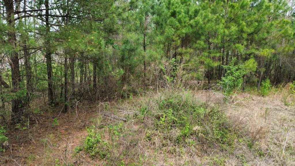 400 County Road 1924 Property Photo 2