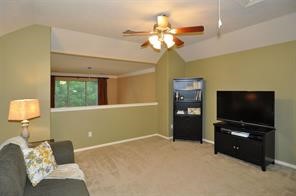 14107 Spring Mountain Lane Property Photo 10