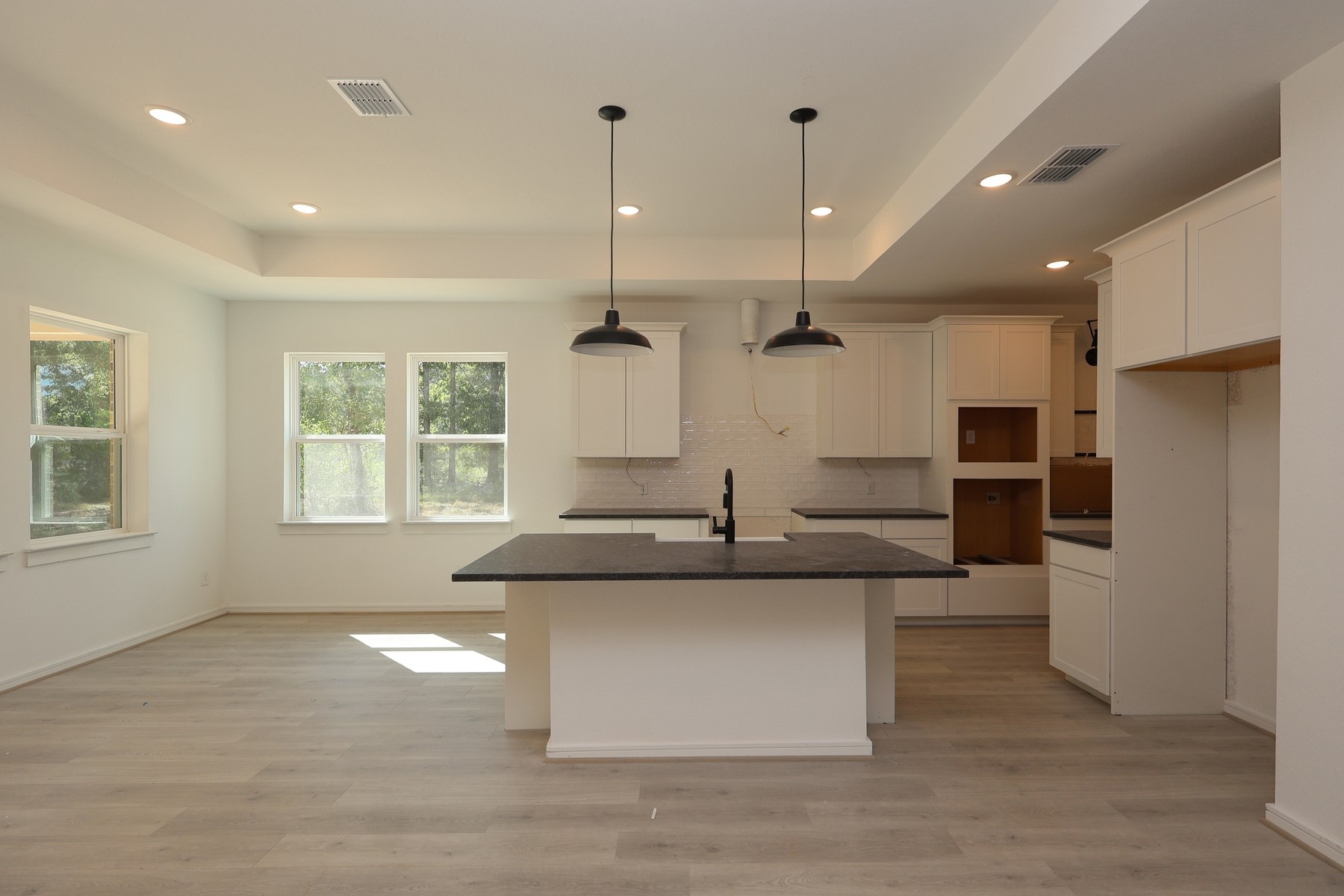 13714 Pamela Belle Path Property Photo 6
