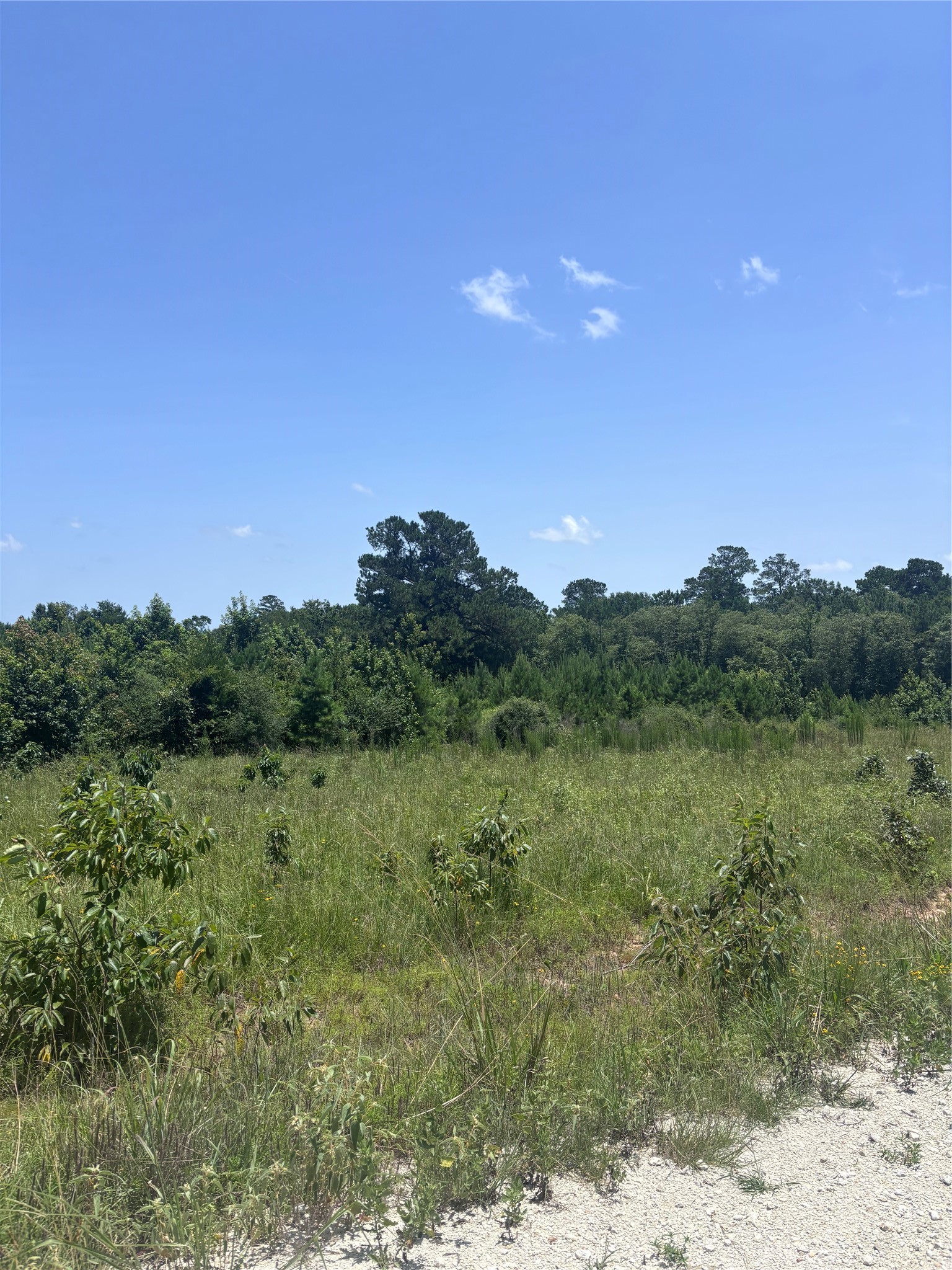 Tbd Canopy Ridge Property Photo 3