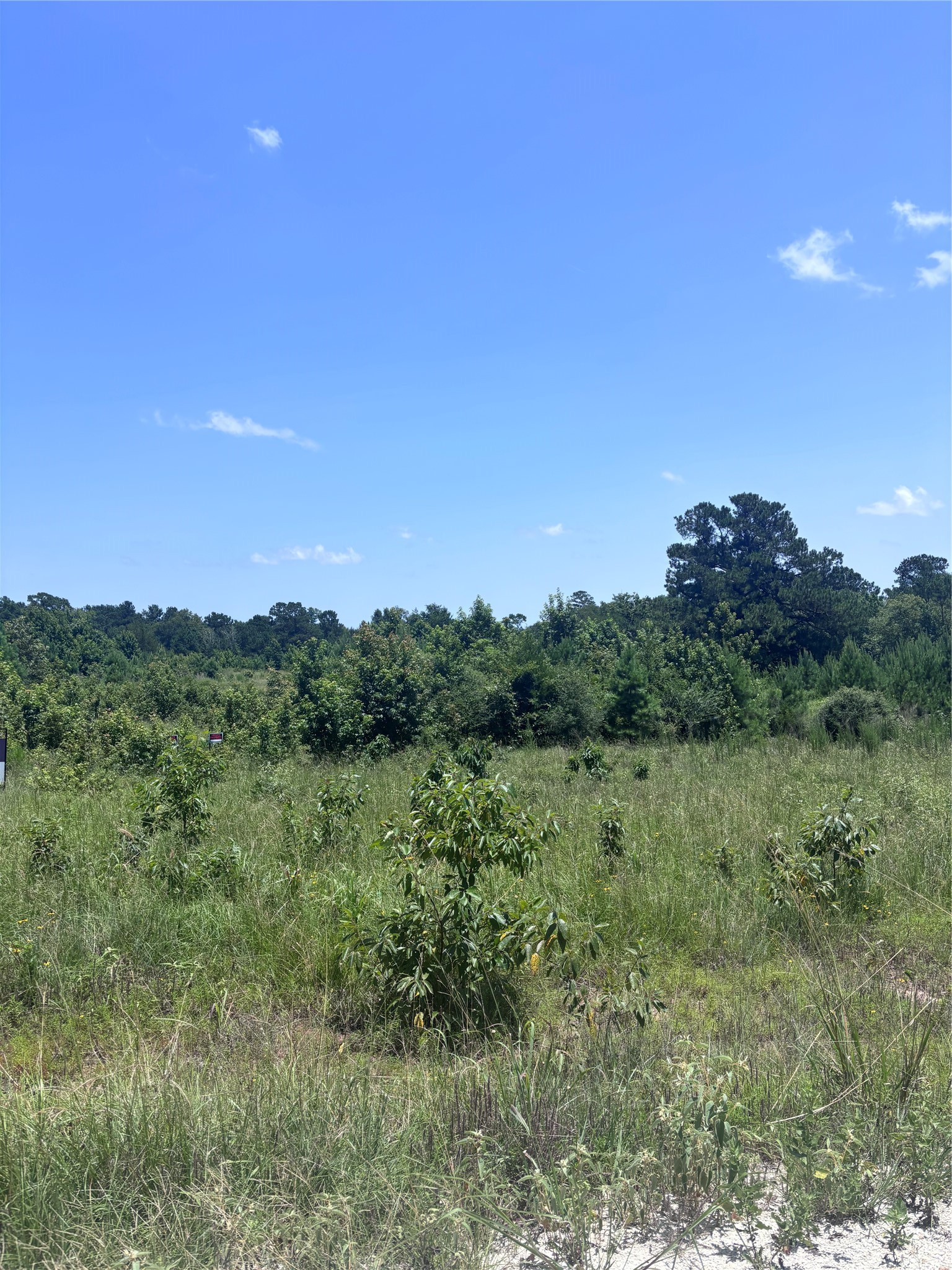 Tbd Canopy Ridge Property Photo 4