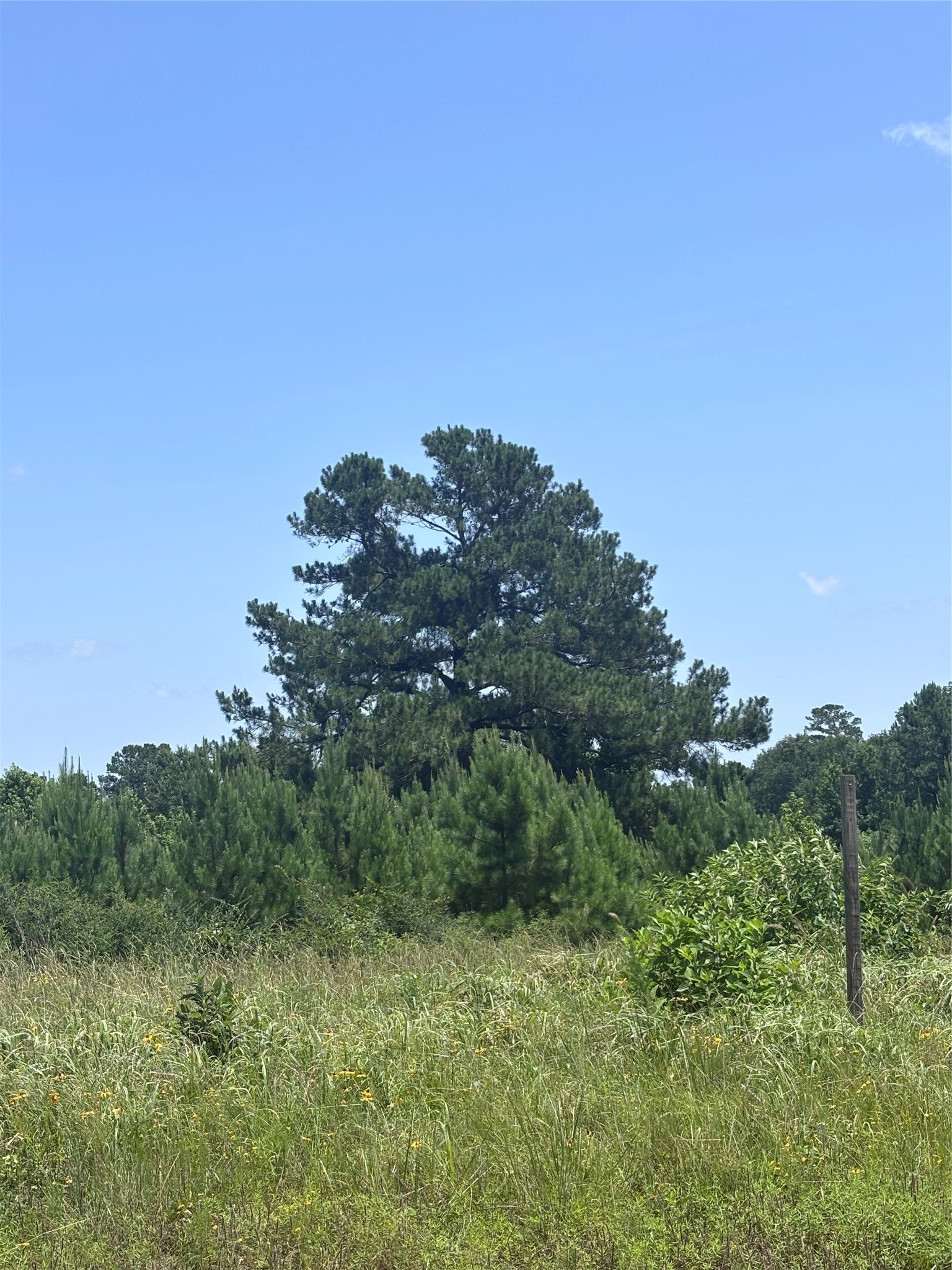 Tbd Canopy Ridge Property Photo 7