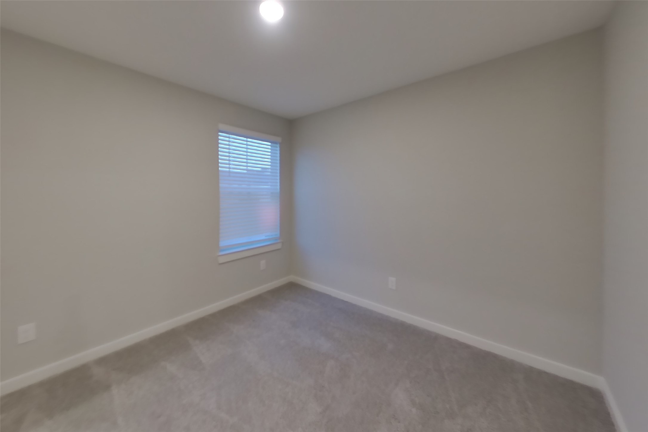 4932 San Fabiano Court Property Photo 14
