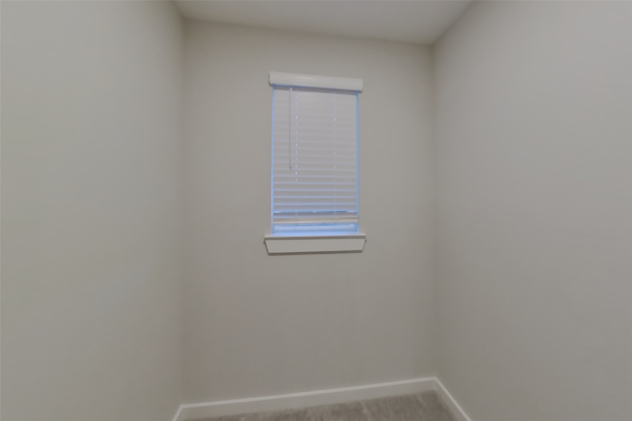 4932 San Fabiano Court Property Photo 17